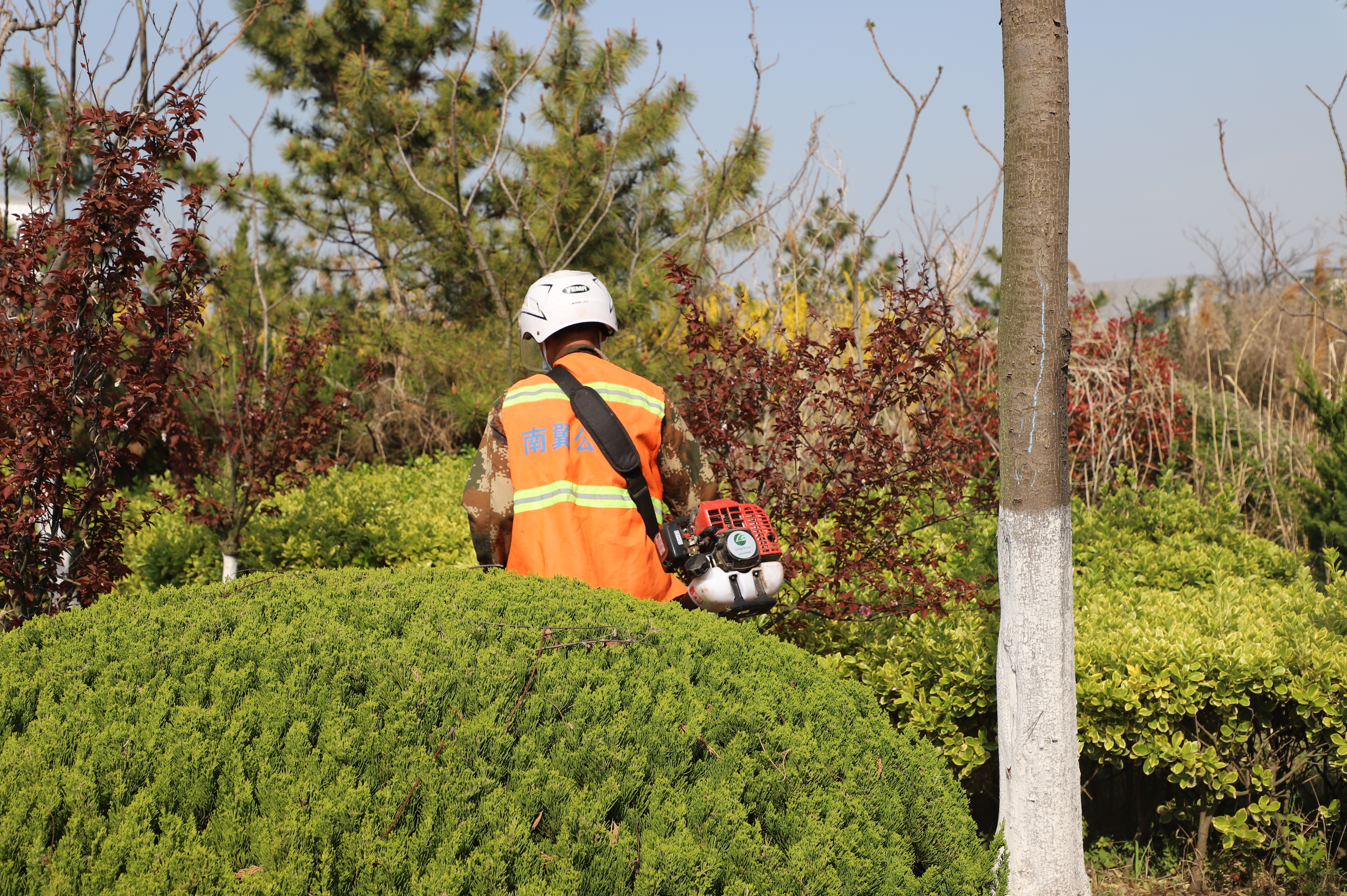 IMG_8761.JPG IMG_8761.JPG